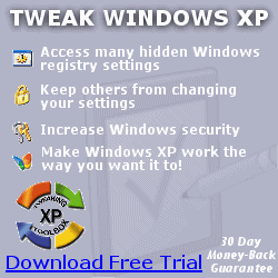 The Utility For Any Serious Windows Tweaker!