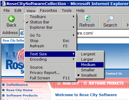 How to Change the text size on a Web Page - Rose City Software